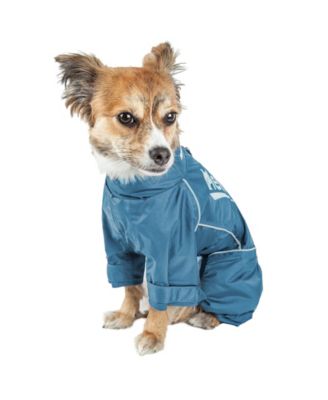 Dog Helios
