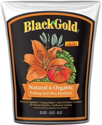 Black Gold