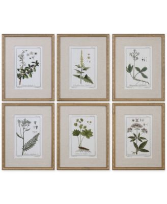 Uttermost - Green Floral Botanical Study Wall Art, Set of 6