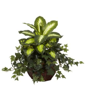 Nearly Natural - Dieffenbachia and Ivy w/ Decorative Planter