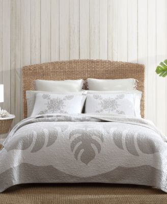 Tommy Bahama Home