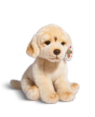 Geoffrey's Toy Box
