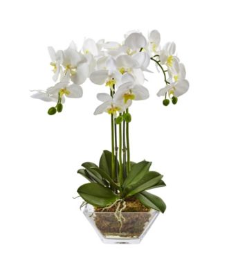 Nearly Natural - Triple Phalaenopsis Orchid in Glass Vase