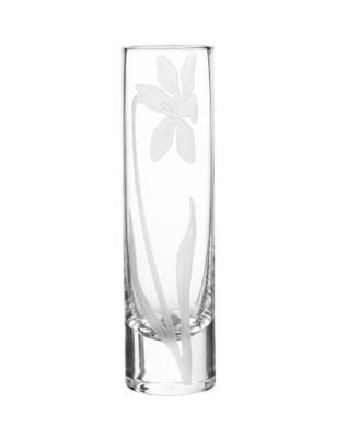 Qualia Glass