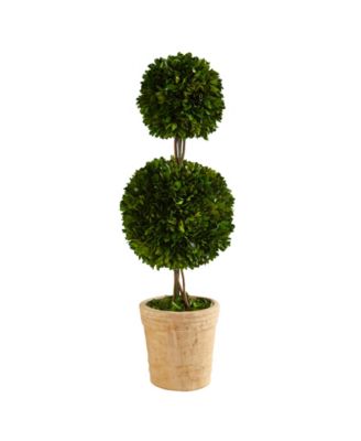 Nearly Natural - 2.5ft. Preserved Boxwood Double Ball Topiary Tree in Decorative Planter