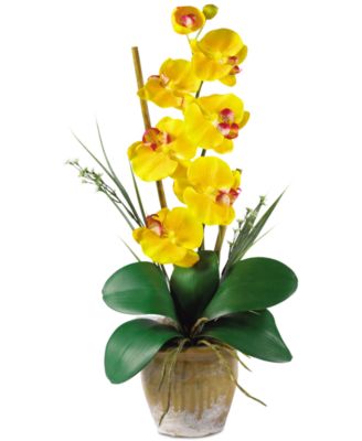 Nearly Natural - Phalaenopsis Orchid Artificial Flower Arrangement