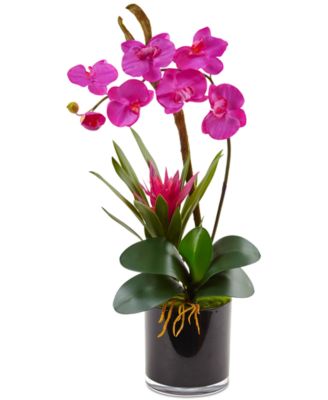 Nearly Natural - Pink Orchid & Bromeliad Artificial Arrangement in Glossy Black Cylinder Vase