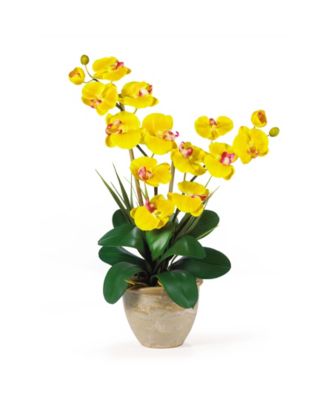 Nearly Natural - Double Phalaenopsis Silk Orchid Flower Arrangement