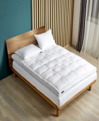 Serta