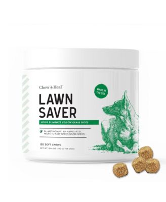 Chew + Heal