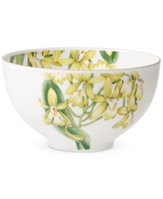 Villeroy & Boch - Amazonia Rice Bowl