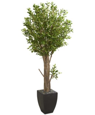 Nearly Natural - 6.5' Olive Artificial Tree in Black Planter