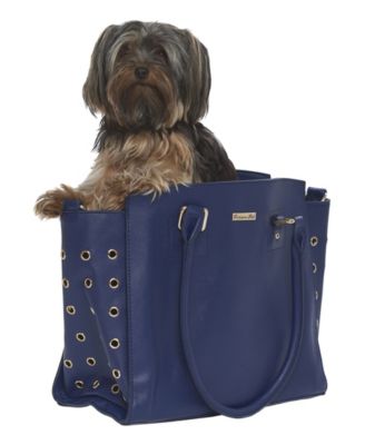 Parisian Pet