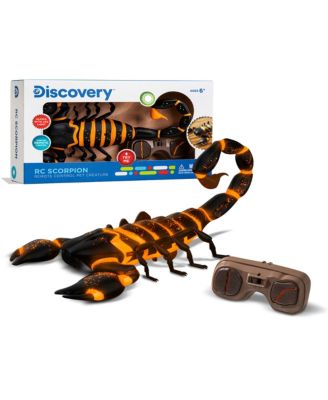Discovery Kids