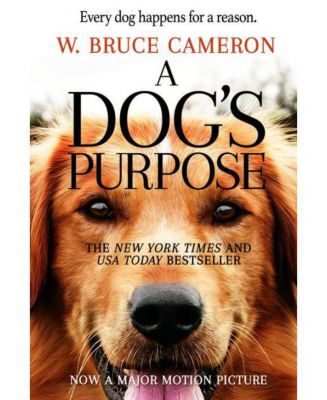 Barnes & Noble
