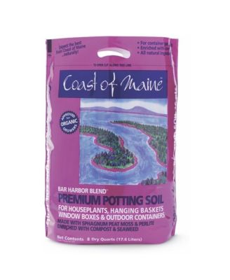 Coast of Maine