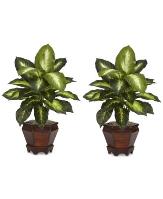 Nearly Natural - 2-Pc. Dieffenbachia Plant Set with Wood Vases