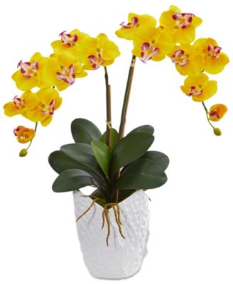 Nearly Natural - Double Phalaenopsis Orchid Artificial Arrangement in White Ceramic Vase