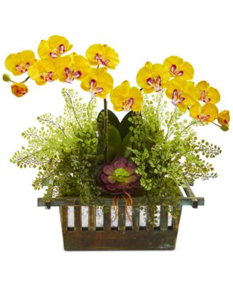 Nearly Natural - Orchid, Succulent & Maidenhair Fern Artificial Arrangement