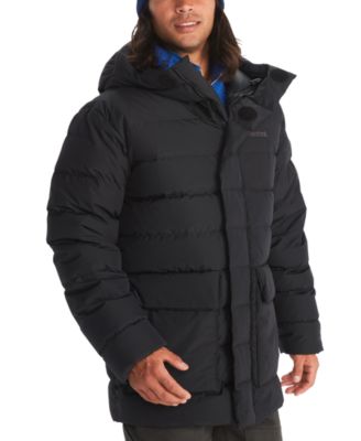 Marmot