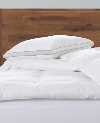 Ella Jayne - Memory Fiber Pillow 100% Cotton Luxurious Mesh Gusseted Shell All Sleeper Pillow