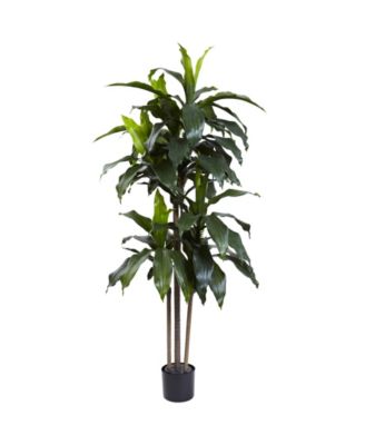 Nearly Natural - 5' Dracaena Plant UV Resistant