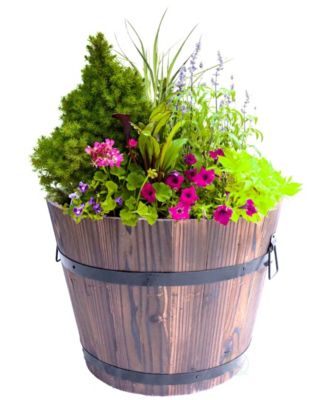 Gardenised