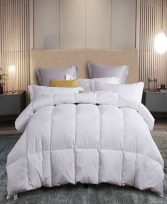 Martha Stewart Collection
