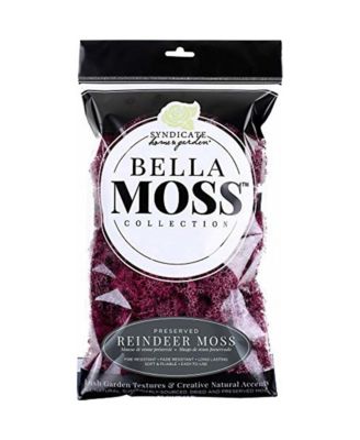 Bella Moss