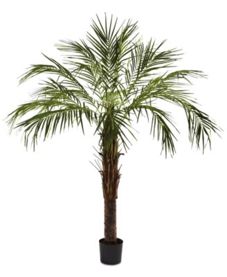 Nearly Natural - 6' Artificial Robellini Palm Tree