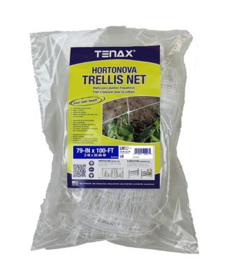 Tenax
