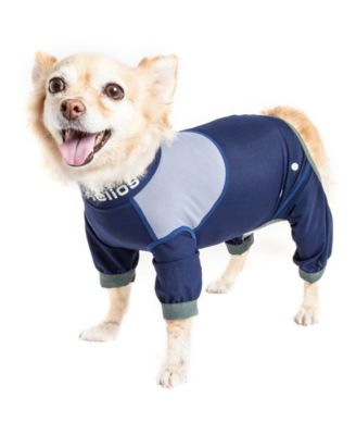 Dog Helios