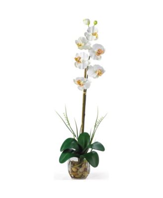 Nearly Natural - Single Phalaenopsis Liquid Illusion Silk Flower Arrangement