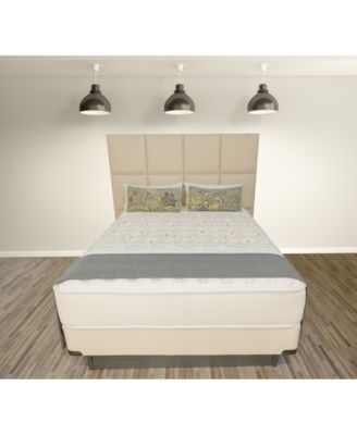 Paramount - Eminence 13" Luxury Firm Mattress Set- Queen