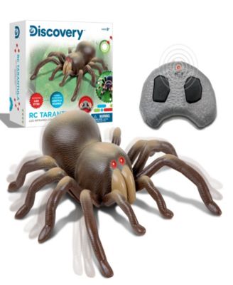 Discovery Kids
