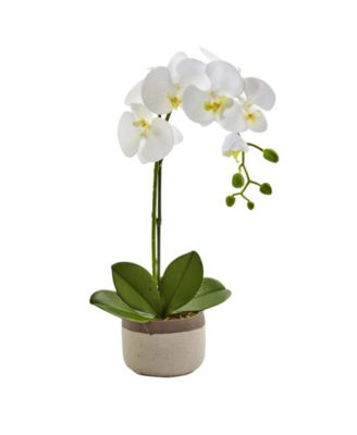 Nearly Natural - Artificial Phalaenopsis Orchid in Ceramic Pot