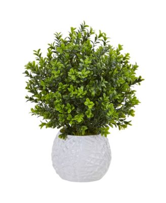 Nearly Natural - Boxwood Evergreen Indoor/Outdoor Artificial Plant in White Vase