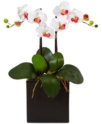 Nearly Natural - Double Mini Phalaenopsis Orchid Artificial Plant in Black Vase