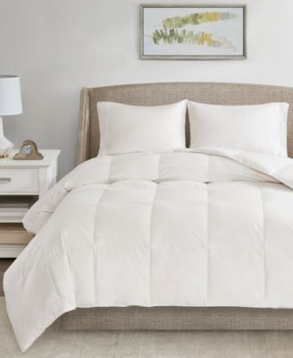 Sleep Philosophy - All Season Warmth Oversized 100% Cotton Down Comforter Collection