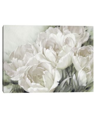 Fine Art Canvas - Angelique Tulips II White by Igor Levashov Canvas Art Print