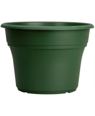 Panterra