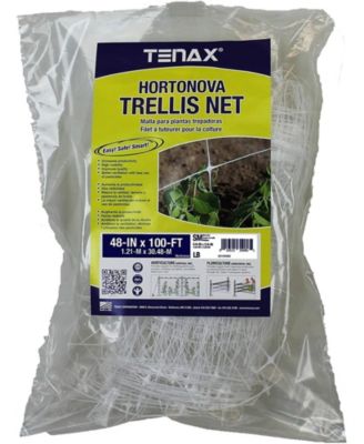 Tenax